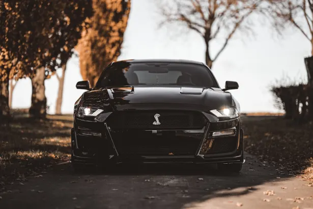 Casino Golden Palace App Android/iOS